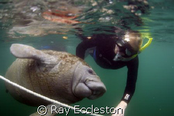Dive Buddies. Camera Nikon D-200 by Ray Eccleston 